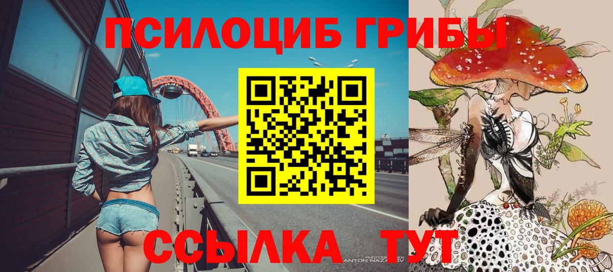 Томск  Галлюциногенные грибы Psilocybine cubensis  Вход с VPN 