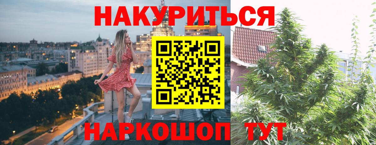 Канабис семена Томск